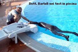 test_piscina1
