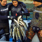 Gare Pesca Sub: Santi, Smeraldi e Caffero Vincono il 1° Trofeo CSAT