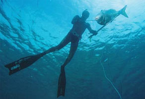 Pescasub: il circuito a coppie con assistenza indotta
