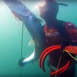 Video Pescasub: Caccia ai Grossi Barracuda Mediterranei