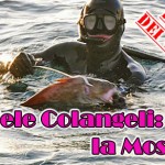 Le schede dei Campioni: Daniele Colangeli e la Mostella