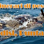 Itinerari di pesca sub: Brindisi, Punta Riso