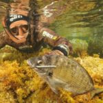 Pesca sub estrema: profondità, apnea e superfucili