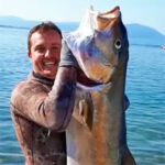 Video Pesca Sub: Una Grossa Ricciola Solitaria (32 kg)