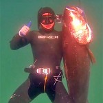 Video Pescasub: Aspetto all’Enorme Ombrina Boccadoro (50 kg)