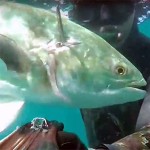 Video Pescasub: una Leccia all’Improvviso