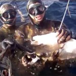 Video Pescasub: un’Orata Preistorica Acquattata sul Fondo