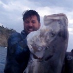 Video Pescasub: la Ricciola over 50 kg a Bruciapelo
