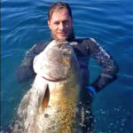 Video Pesca Sub: una Ricciola di 45 kg a 12 metri di Profondità