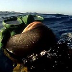 Incidente Pescasub: 34enne Muore nel mare di Scopello