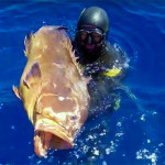 Video Pescasub: la Grossa Cernia che Faceva lo “Struzzo” (22 kg)